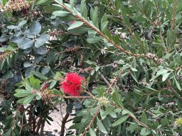 056-11-12-2025 IMG_3177